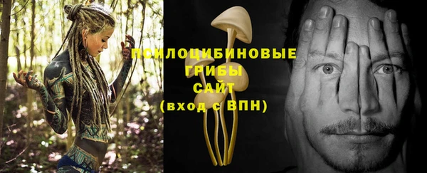 хмурый Мегион