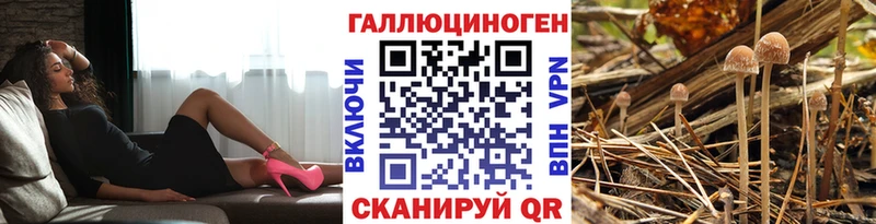 где продают Трёхгорный Галлюциногенные грибы мухоморы